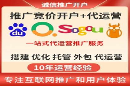 某某sem推广公司在某行业的应用与效果分析